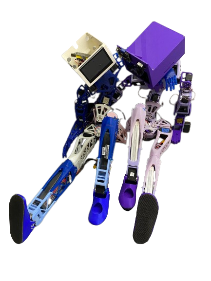 WPI Robot Logo